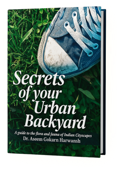 Secrets of Your Urban Backyard book cover